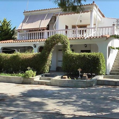 Гостевой дом Το Κτήμα Της Ελιάς Του Τάκη Paralia Demonias Экстерьер фото